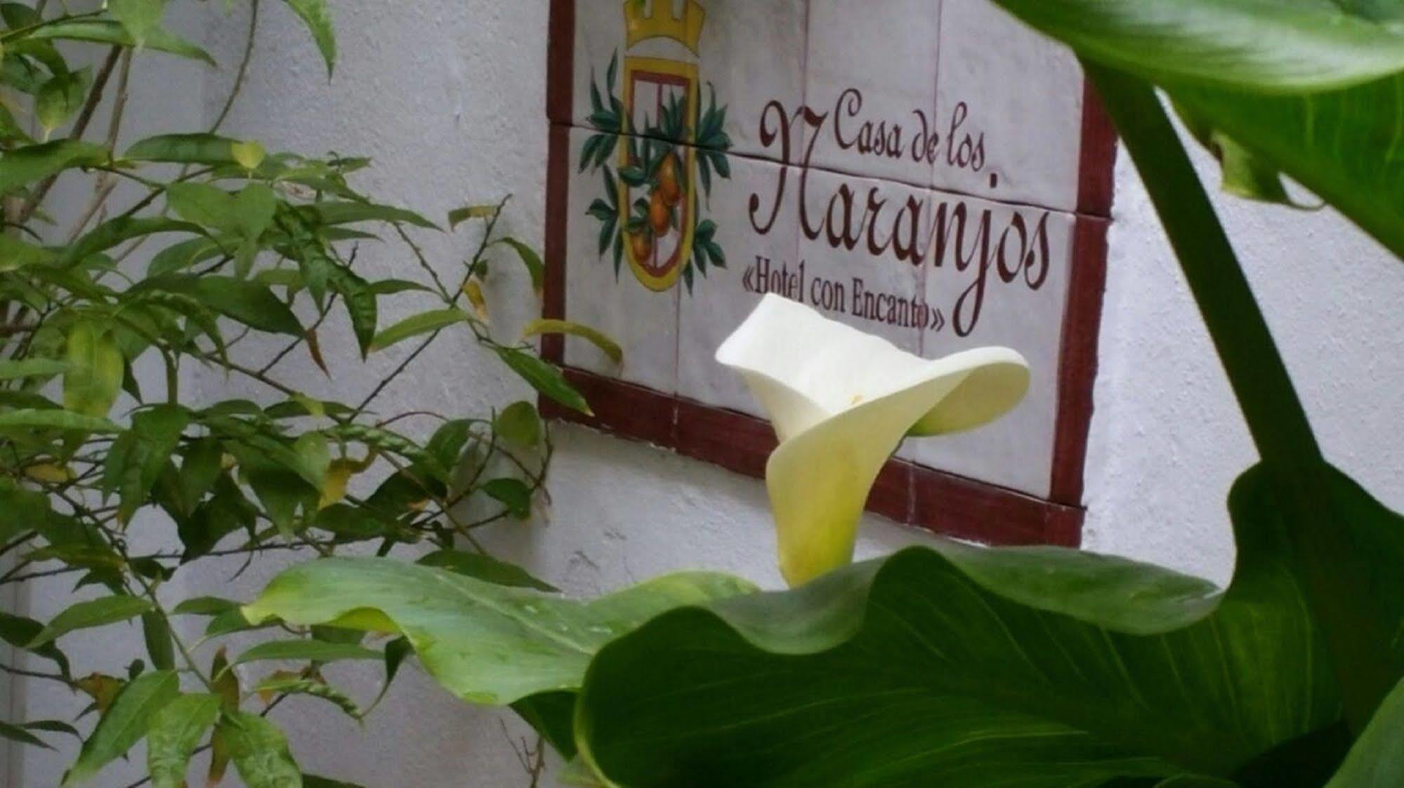 Casa De Naranjos